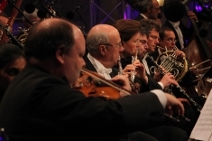 Wiener Symphoniker - Fest der Freude 2014