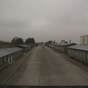 KZ-Gedenkstätte Mauthausen © MKÖ/Christa Bauer