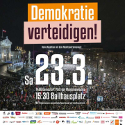 Demokratie verteidigen! 23.03. in Wien - Shareable mit Logos der Organisationen
